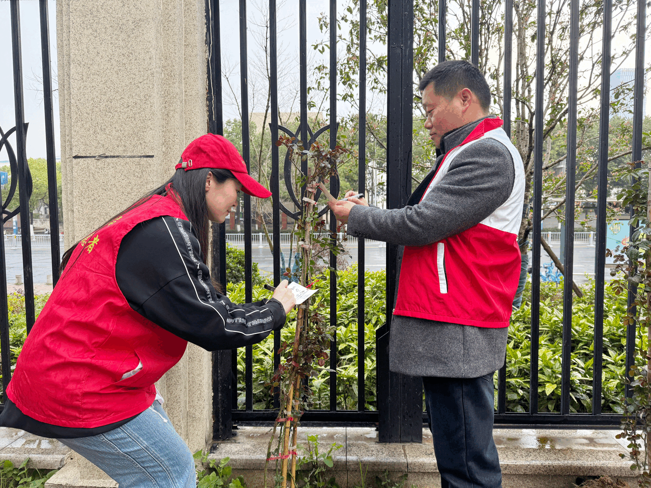 活动动图.gif 活动动图.gif