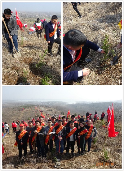 滁州碧桂园项目植树节活动.jpg