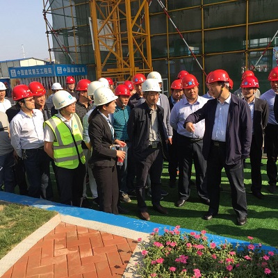 副市长现场指示.jpg