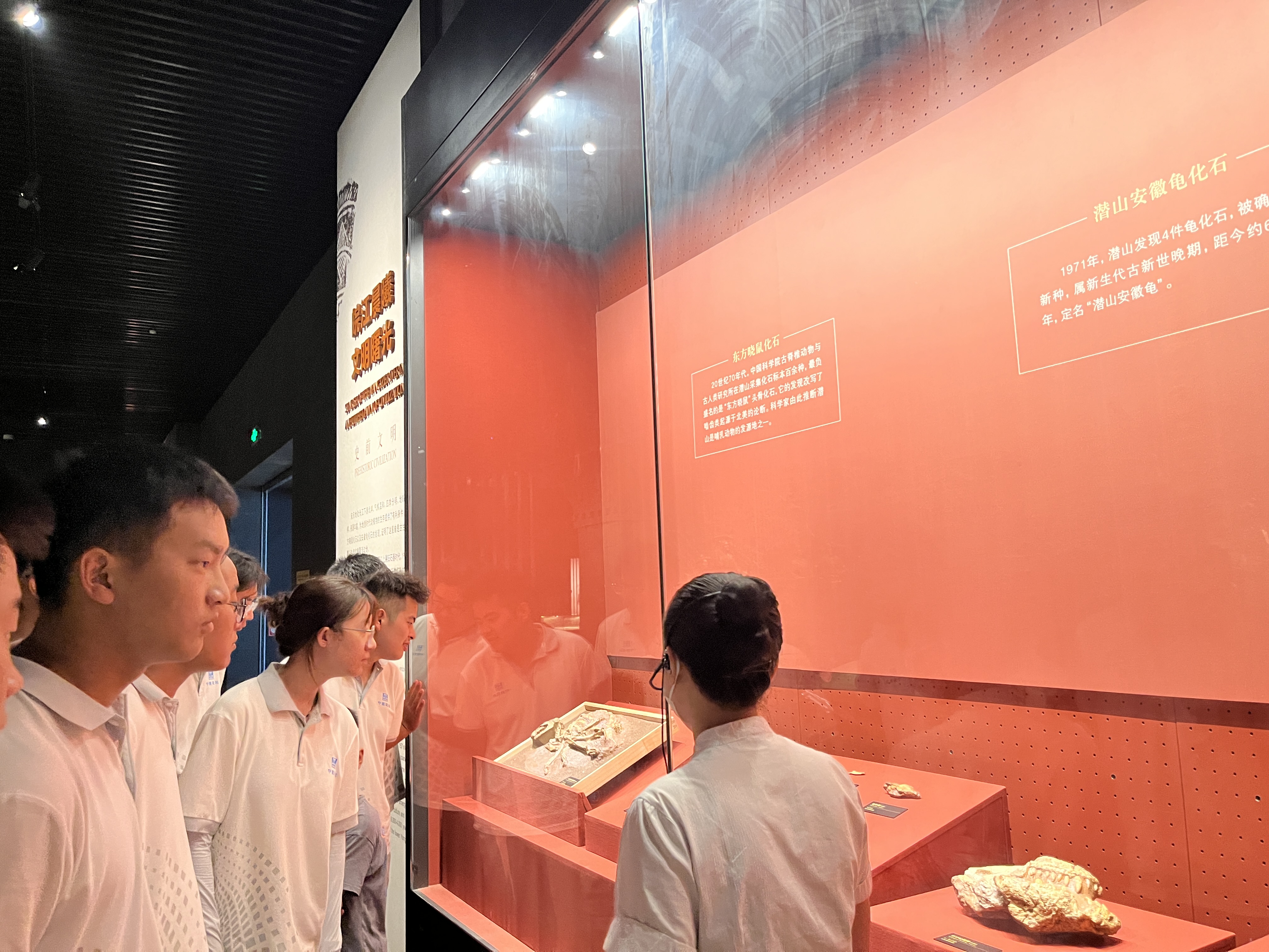 参观博物馆展厅.jpg
