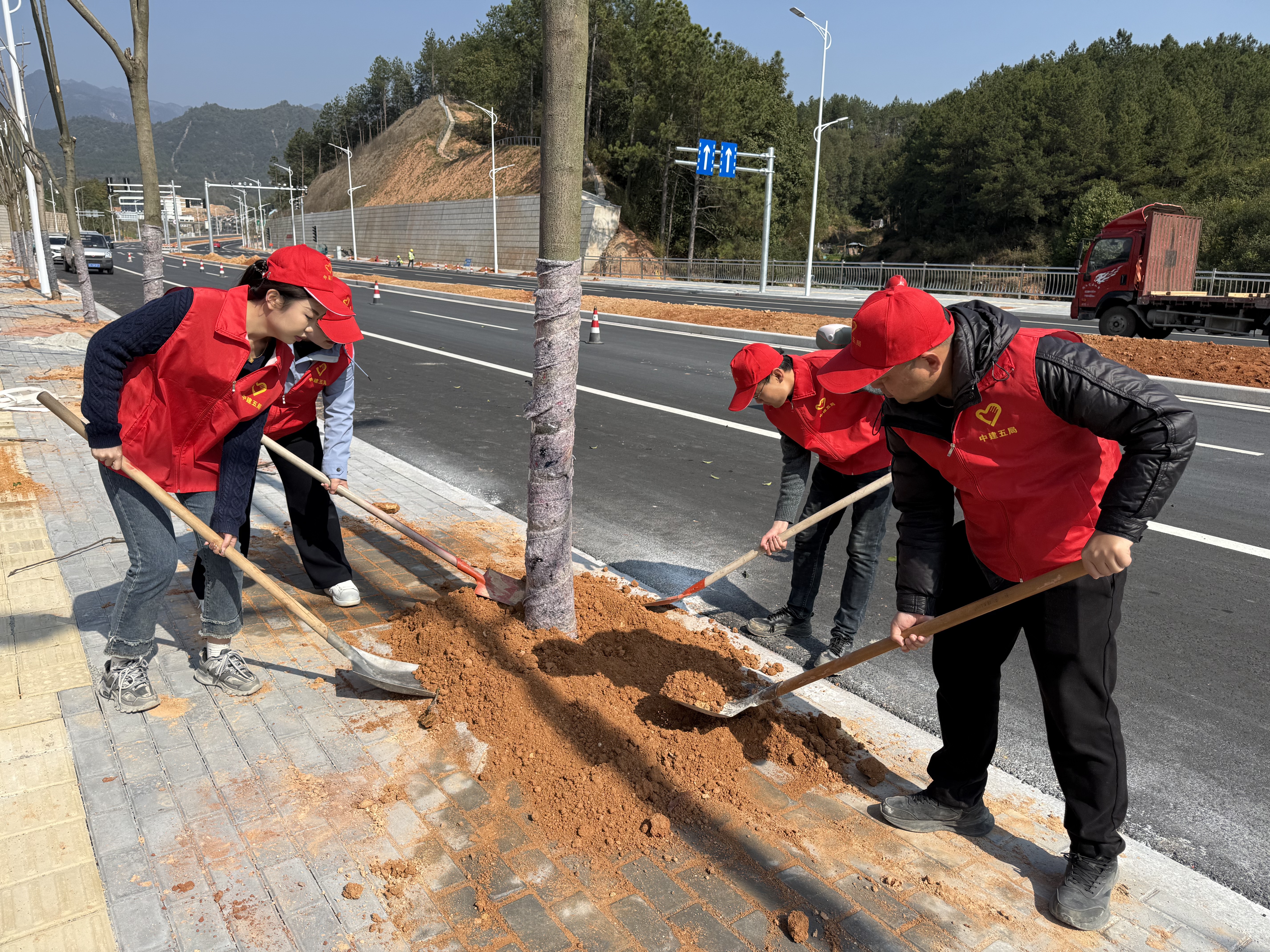 龙泉植树 (1).jpg